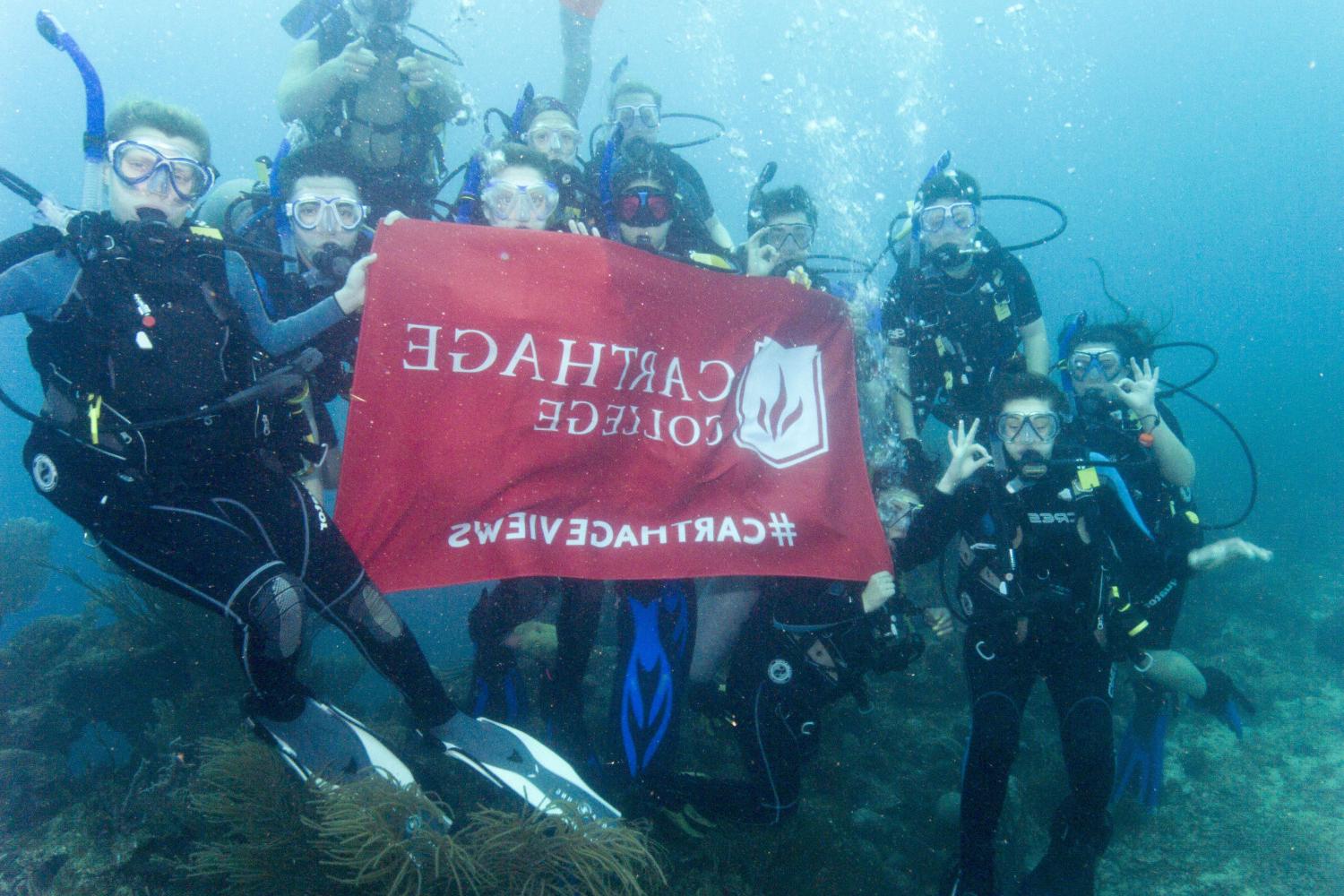 学生们手持<a href='http://xluc.ngskmc-eis.net'>博彩网址大全</a>旗帜，在j学期洪都拉斯游学之旅中潜水.